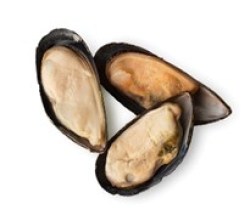 Cozze ½ Guscio Mediterranea Surgelati Teramo Abruzzo